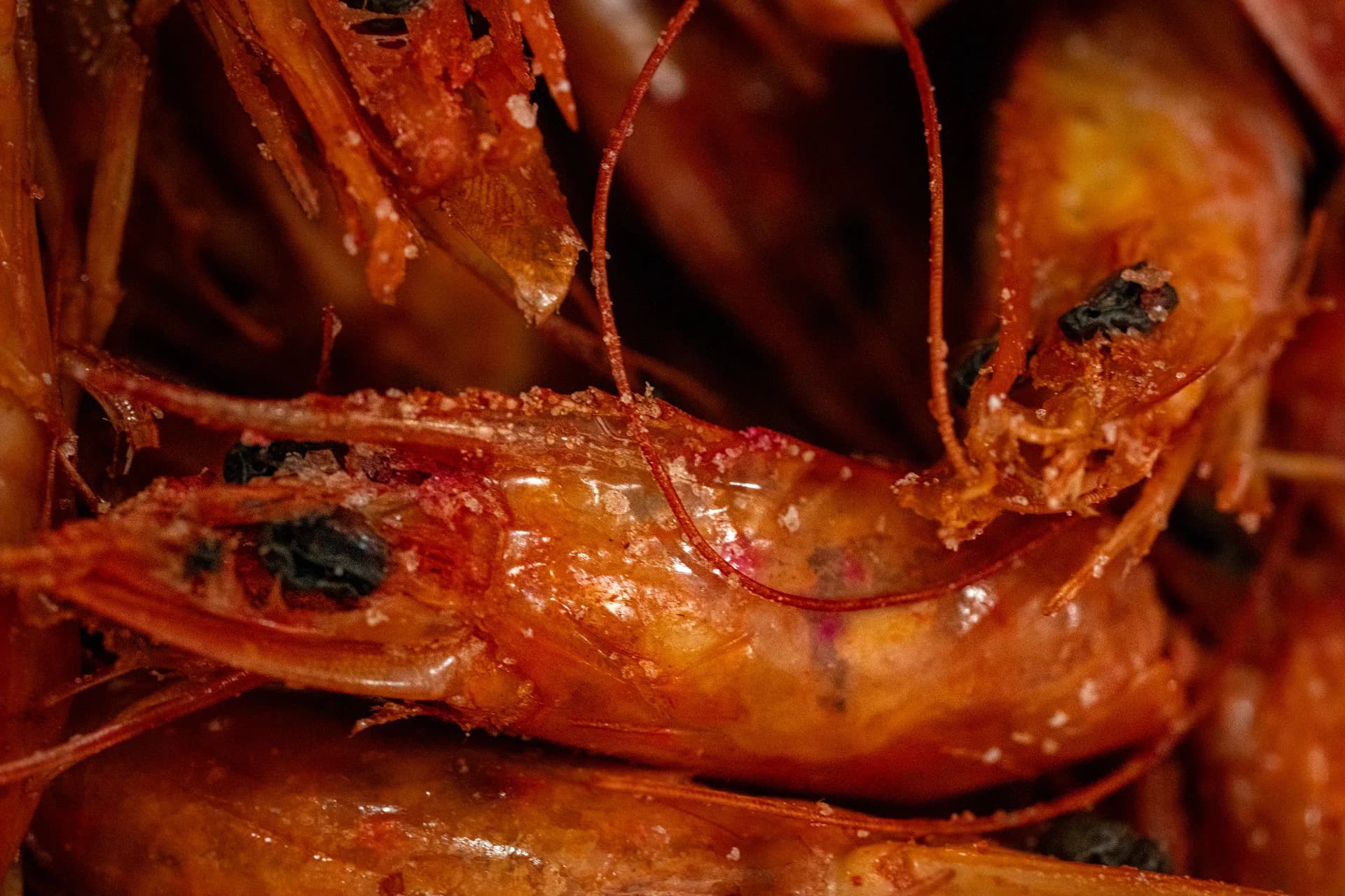 This is Not a Shrimp